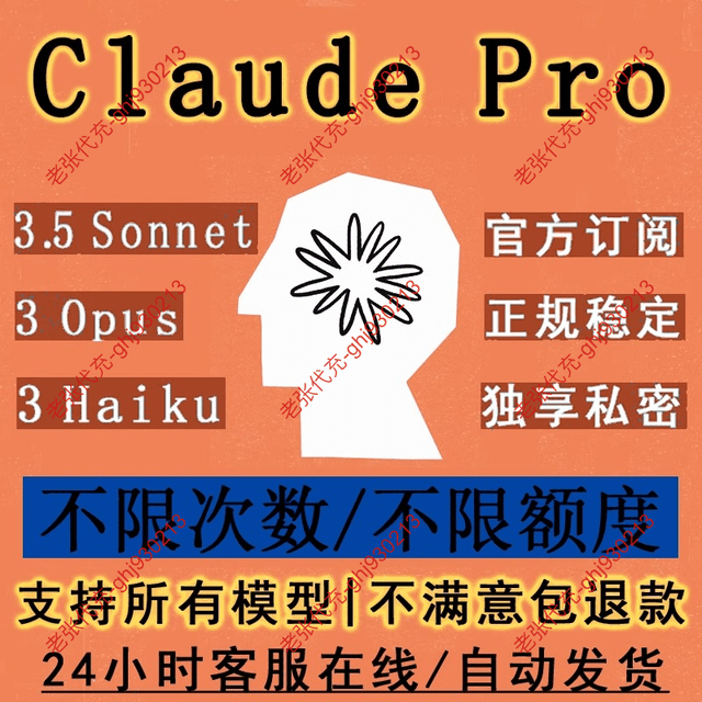 Claude Pro 会员